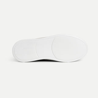 Phương tiện truyền thông 7