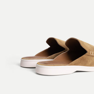 Phương tiện truyền thông 31